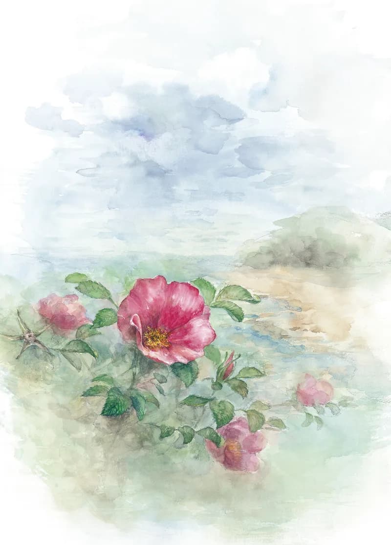 해당화 — 신연옥 일러스트