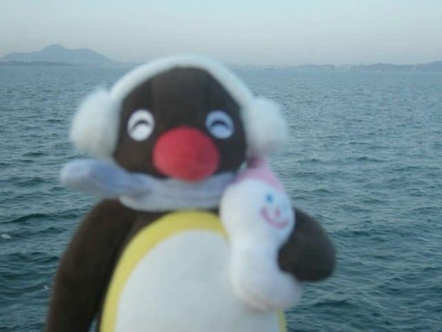 이지수 프로필