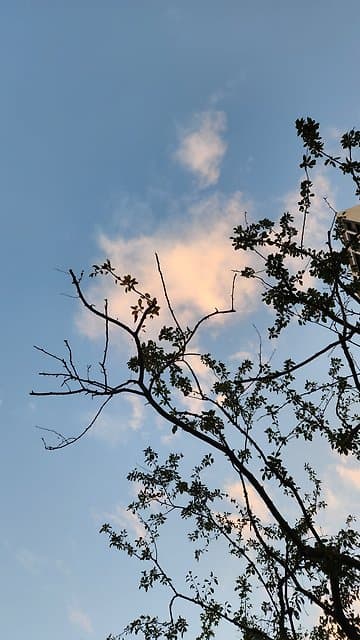 최두리 프로필